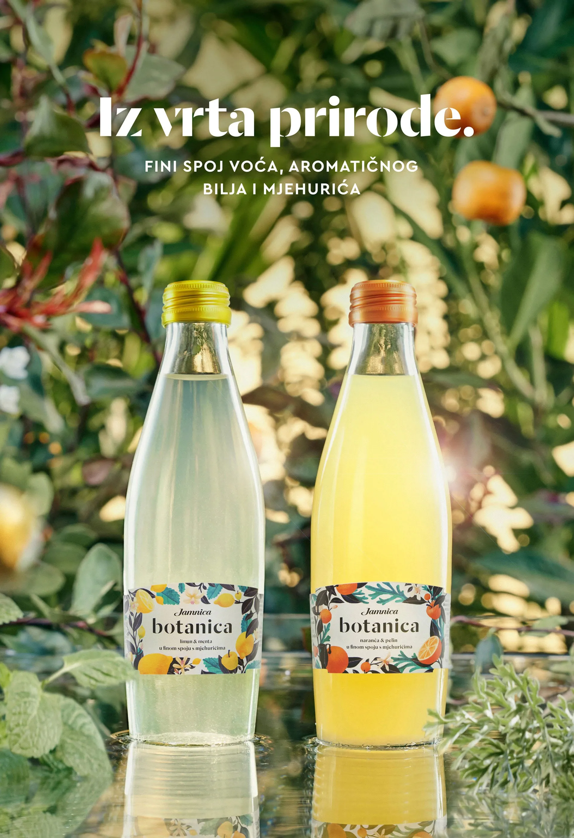 Iz vrta prirode, Jamnica Botanica (5)